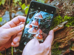 Rozpoznávání hub pomocí aplikace na telefonu