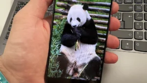 Zdravotní aplikace pro Android se ukázala jako zástěrka pro okrádání lidí. Ihned ji smažte, krade přihlašovací údaje k bankovnictví