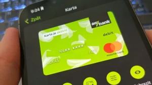 Platební kartu ani hesla nikdy neukládejte do internetového prohlížeče. Je to sice pohodlné, ale také silně riskantní