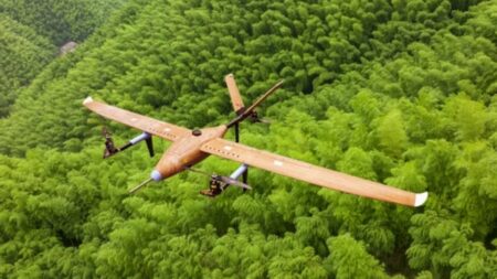 Bambus místo karbonu: Čína našla opravdu levné řešení. Postavila dron z materiálu, který roste jako plevel
