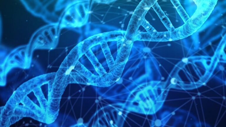 Šroubovice DNA